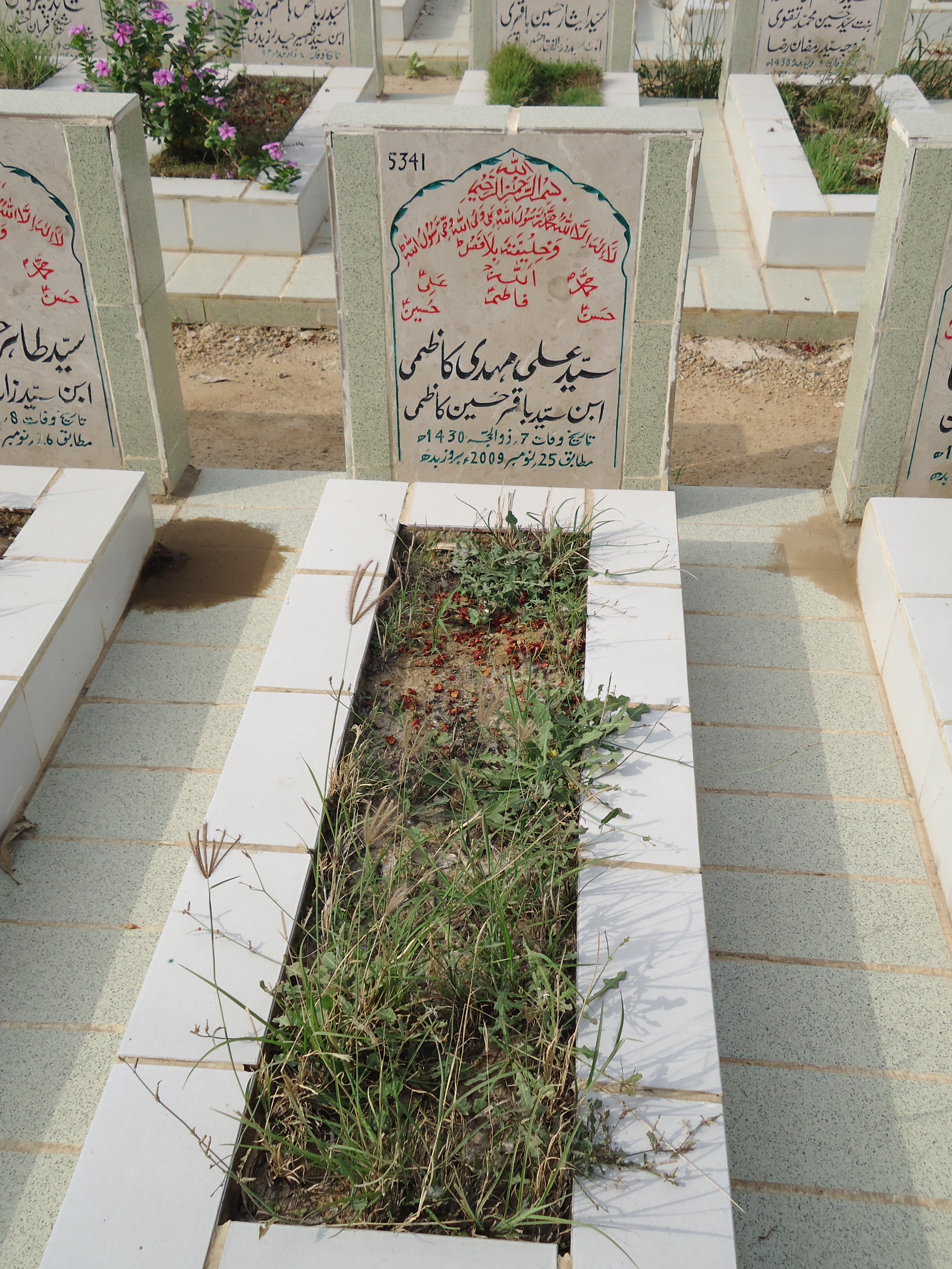 5341 – Syed Ali Mehdi Kazmi